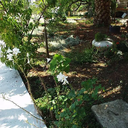 With Wifi Sali, Dugi Otok - 886 Apartamento